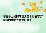 形容不出錯的成語大全（形容非常黑暗的成語大全是什么）