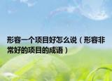 形容一個項目好怎么說（形容非常好的項目的成語）