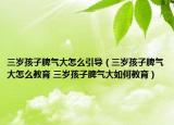 三歲孩子脾氣大怎么引導（三歲孩子脾氣大怎么教育 三歲孩子脾氣大如何教育）