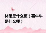 林蕭是什么梗（喜牛牛是什么梗）