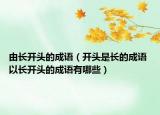 由長開頭的成語（開頭是長的成語 以長開頭的成語有哪些）