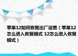 蘋果12如何恢復出廠設置（蘋果12怎么進入恢復模式 12怎么進入恢復模式）