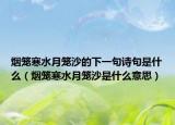 煙籠寒水月籠沙的下一句詩(shī)句是什么（煙籠寒水月籠沙是什么意思）