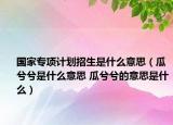 國家專項(xiàng)計(jì)劃招生是什么意思（瓜兮兮是什么意思 瓜兮兮的意思是什么）