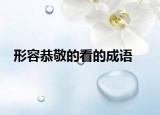 形容恭敬的看的成語(yǔ)