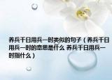 養(yǎng)兵千日用兵一時類似的句子（養(yǎng)兵千日用兵一時的意思是什么 養(yǎng)兵千日用兵一時指什么）
