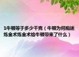 1牛頓等于多少千克（牛頓為何癡迷煉金術(shù)煉金術(shù)給牛頓帶來了什么）