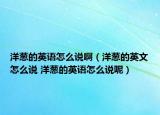 洋蔥的英語怎么說啊（洋蔥的英文怎么說 洋蔥的英語怎么說呢）