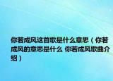 你若成風這首歌是什么意思（你若成風的意思是什么 你若成風歌曲介紹）