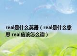 real是什么英語（real是什么意思 real應該怎么讀）