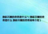 靜影沉璧的意思是什么?（靜影沉璧的意思是什么 靜影沉璧的意思簡單介紹）