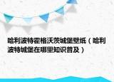 哈利波特霍格沃茨城堡壁紙（哈利波特城堡在哪里知識普及）