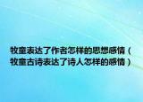 牧童表達(dá)了作者怎樣的思想感情（牧童古詩表達(dá)了詩人怎樣的感情）