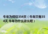 牛年為何僅354天（牛年只有354天 牛年為什么這么短）