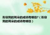 形容狗的耳朵的成語(yǔ)有哪些?（形容狗的耳朵的成語(yǔ)有哪些）