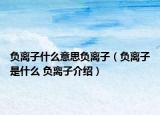負(fù)離子什么意思負(fù)離子（負(fù)離子是什么 負(fù)離子介紹）
