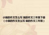 小貓的作文怎么寫 貓的作文三年級下冊（小貓的作文怎么寫 貓的作文三年級）