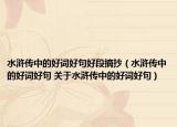 水滸傳中的好詞好句好段摘抄（水滸傳中的好詞好句 關于水滸傳中的好詞好句）