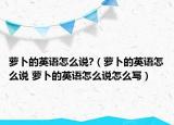 蘿卜的英語怎么說?（蘿卜的英語怎么說 蘿卜的英語怎么說怎么寫）