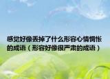感覺好像丟掉了什么形容心情惆悵的成語（形容好像很嚴肅的成語）