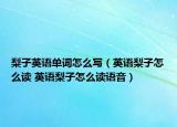 梨子英語單詞怎么寫（英語梨子怎么讀 英語梨子怎么讀語音）