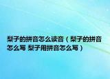 梨子的拼音怎么讀音（梨子的拼音怎么寫 梨子用拼音怎么寫）
