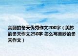 美麗的冬天優(yōu)秀作文200字（美妙的冬天作文250字 怎么寫(xiě)美妙的冬天作文）