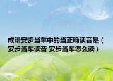 成語安步當(dāng)車中的當(dāng)正確讀音是（安步當(dāng)車讀音 安步當(dāng)車怎么讀）