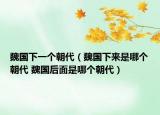 魏國(guó)下一個(gè)朝代（魏國(guó)下來(lái)是哪個(gè)朝代 魏國(guó)后面是哪個(gè)朝代）