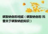 碳酸鈉俗稱純堿（碳酸鈉俗稱 科普關(guān)于碳酸鈉的知識）