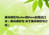 英語(yǔ)感嘆句what和how的用法口訣（英語(yǔ)感嘆句 關(guān)于英語(yǔ)感嘆句介紹）