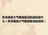 形容很高大氣概很豪邁的成語是什么（形容很高大氣概很豪邁的成語）