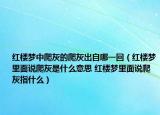 紅樓夢中爬灰的爬灰出自哪一回（紅樓夢里面說爬灰是什么意思 紅樓夢里面說爬灰指什么）