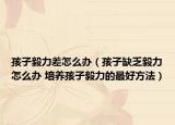 孩子毅力差怎么辦（孩子缺乏毅力怎么辦 培養(yǎng)孩子毅力的最好方法）