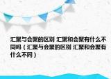 匯聚與會聚的區(qū)別 匯聚和會聚有什么不同嗎（匯聚與會聚的區(qū)別 匯聚和會聚有什么不同）
