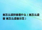 甕怎么讀拼音是什么（甕怎么讀音 甕怎么讀音示范）