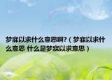 夢(mèng)寐以求什么意思啊?（夢(mèng)寐以求什么意思 什么是夢(mèng)寐以求意思）