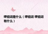 啰組詞是什么（啰組詞 啰組詞 有什么）