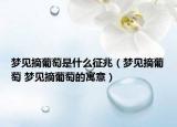 夢見摘葡萄是什么征兆（夢見摘葡萄 夢見摘葡萄的寓意）
