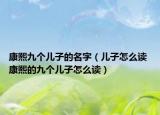康熙九個兒子的名字（兒子怎么讀 康熙的九個兒子怎么讀）