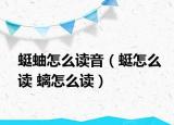 蜓蚰怎么讀音（蜓怎么讀 螭怎么讀）