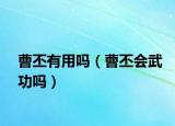 曹丕有用嗎（曹丕會(huì)武功嗎）