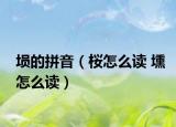 塤的拼音（桜怎么讀 壎怎么讀）