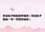 形容肚子胖的四字詞語（形容肚子胖的一節(jié)一節(jié)四字成語）