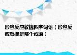 形容反應(yīng)敏捷四字詞語（形容反應(yīng)敏捷是哪個(gè)成語）