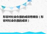 形容對社會仇恨的成語有哪些（形容對社會仇恨的成語）