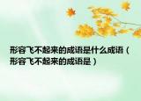 形容飛不起來的成語是什么成語（形容飛不起來的成語是）