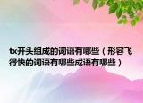 tx開(kāi)頭組成的詞語(yǔ)有哪些（形容飛得快的詞語(yǔ)有哪些成語(yǔ)有哪些）