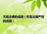 無(wú)視法律的成語(yǔ)（形容法律嚴(yán)謹(jǐn)?shù)某烧Z(yǔ)）