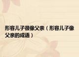 形容兒子很像父親（形容兒子像父親的成語(yǔ)）